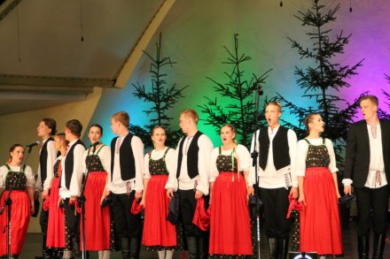 Występy w Amfiteatrze